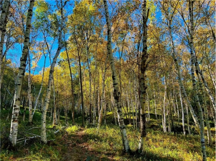 B1 歌詩繪八景打造金名片一一史家營鄉(xiāng)開展八景詩詞采風(fēng)活動598.png